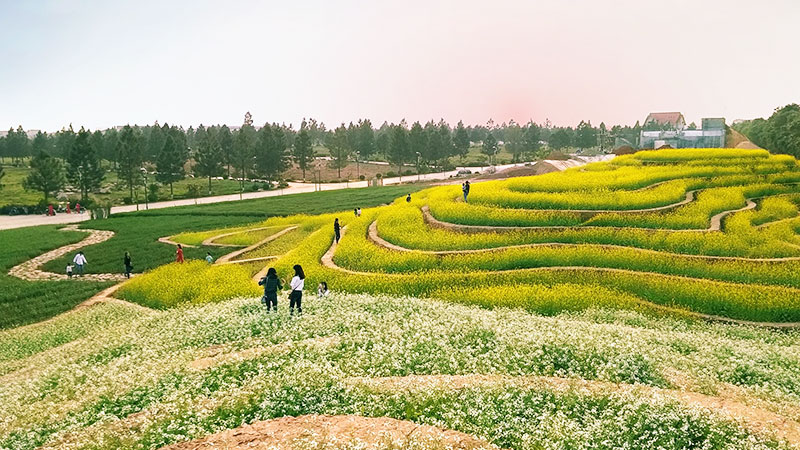 Cụm làng dọc sông Hồng và sông Đáy: Giữ vững truyền thống, phát triển du lịch sinh thái